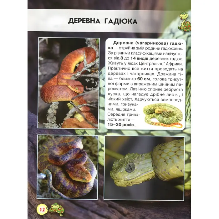 Світ навколо нас. Змії