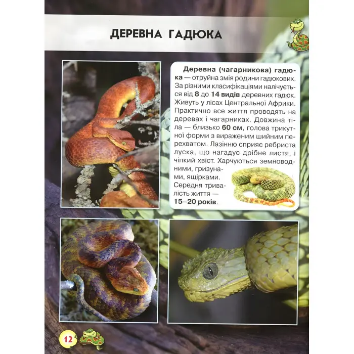 Світ навколо нас. Змії