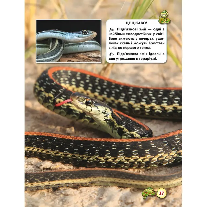 Світ навколо нас. Змії