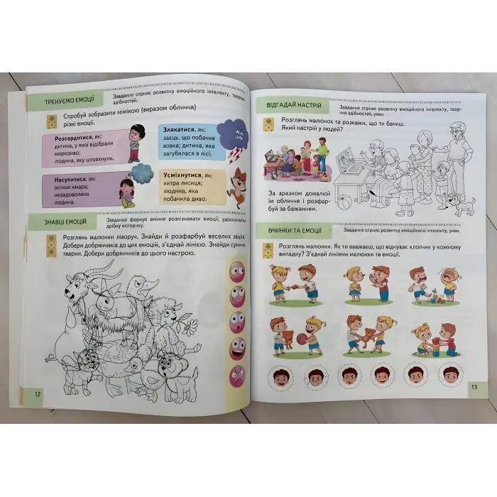 Тести 6+ Підготовка до школи та розвиток дитини - Галина Фефілова (9786178405106)