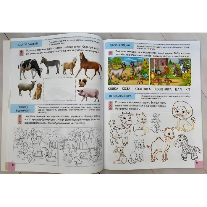 Тести 6+ Підготовка до школи та розвиток дитини - Галина Фефілова (9786178405106)