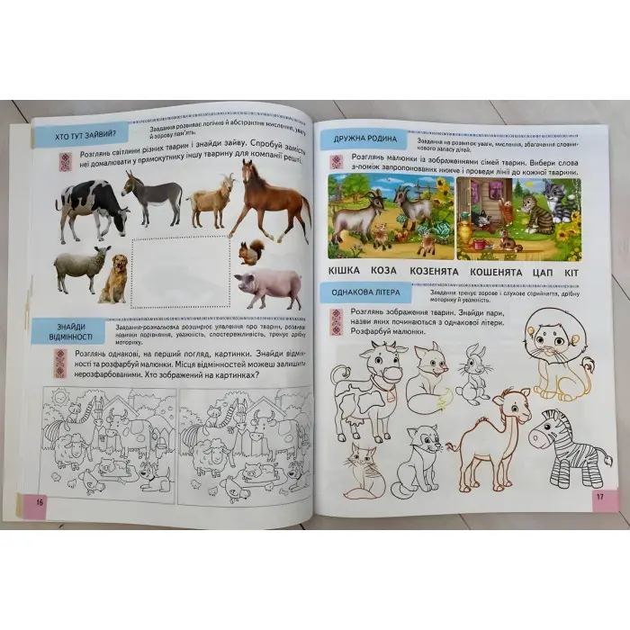 Тести 6+ Підготовка до школи та розвиток дитини - Галина Фефілова (9786178405106)