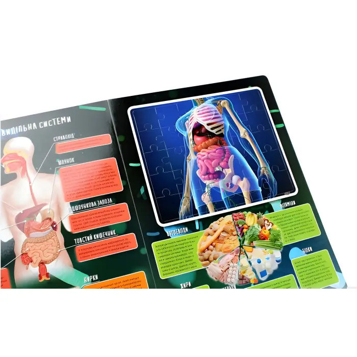 Тіло людини