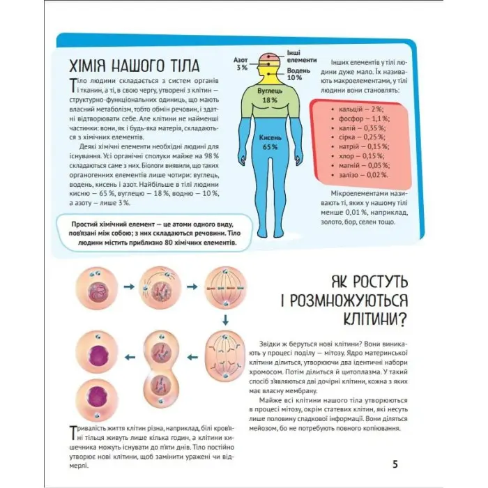 Тіло людини