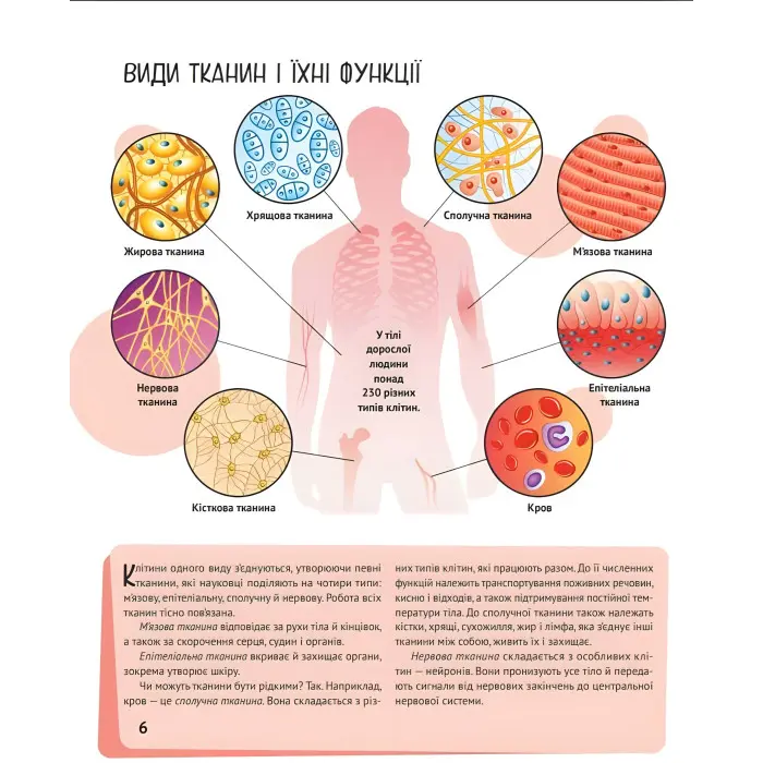 Тіло людини
