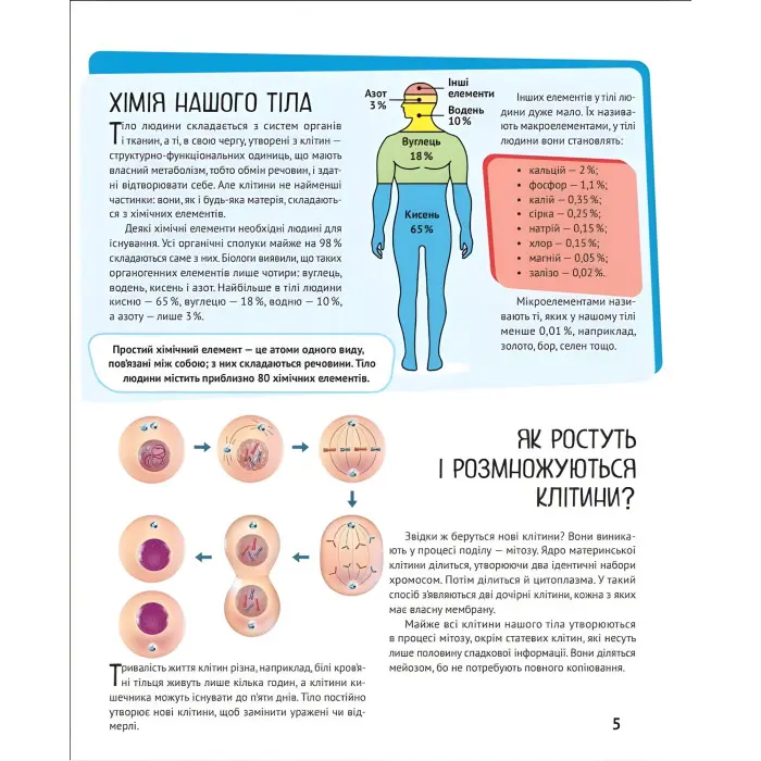 Тіло людини