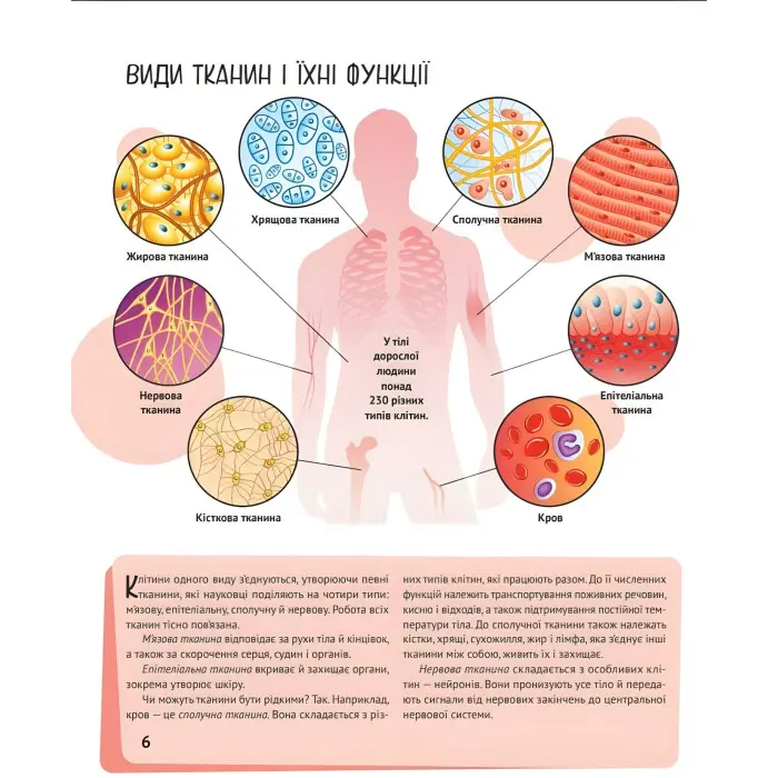 Тіло людини