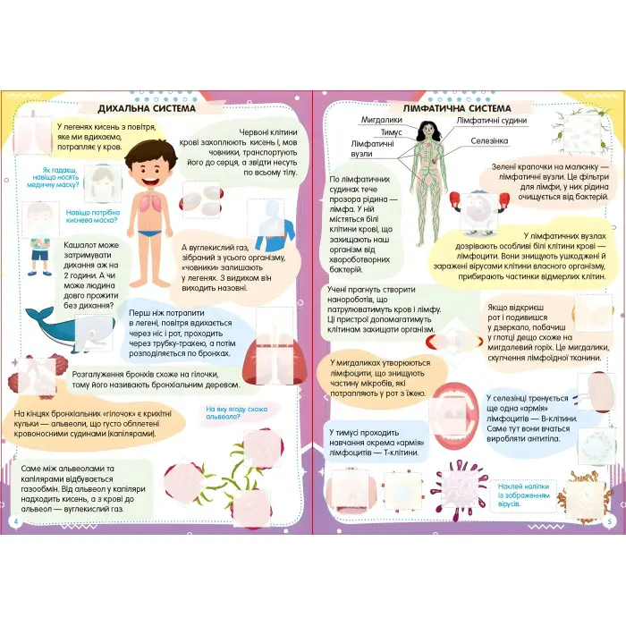 Тіло людини