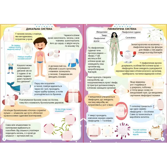 Тіло людини