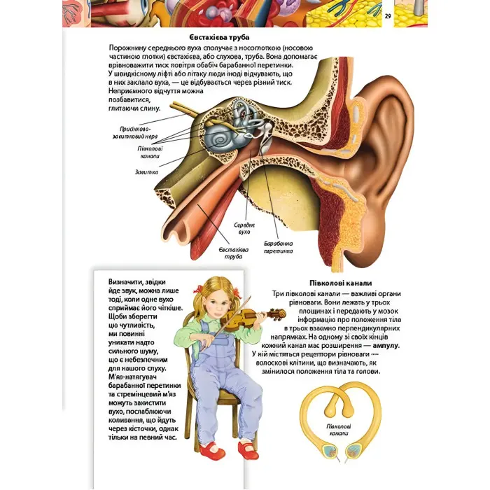 Тіло людини. Дитяча енциклопедія