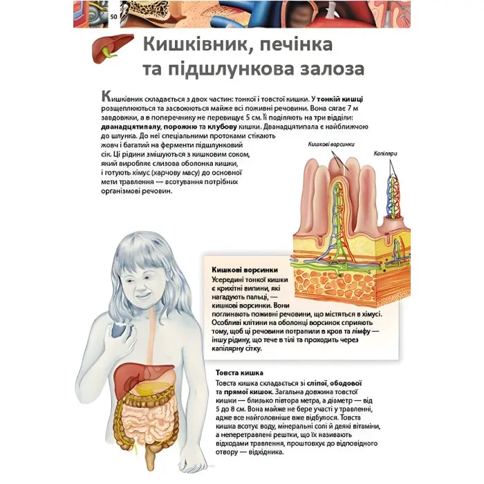 Тіло людини. Дитяча енциклопедія