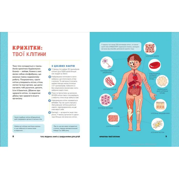 Тіло людини. Розвивальні завдання для дітей