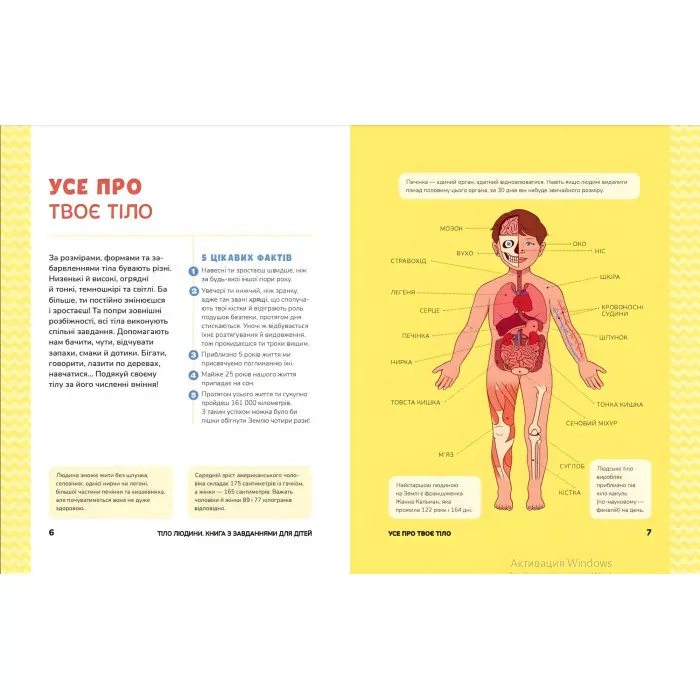Тіло людини. Розвивальні завдання для дітей