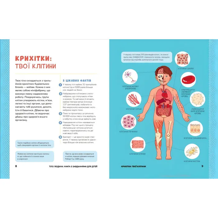 Тіло людини. Розвивальні завдання для дітей