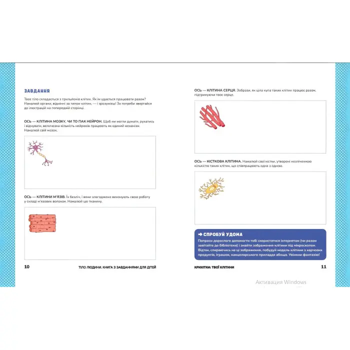Тіло людини. Розвивальні завдання для дітей