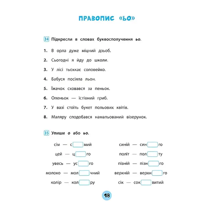Тренувалочка. Українська мова. 1 клас. Зошит практичних завдань