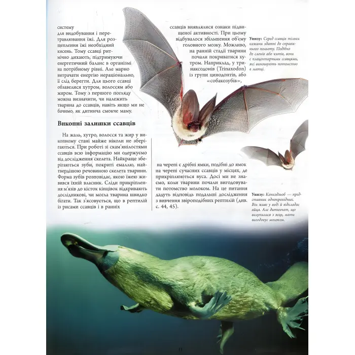 Тварини дольодовикового періоду. Велика енциклопедія