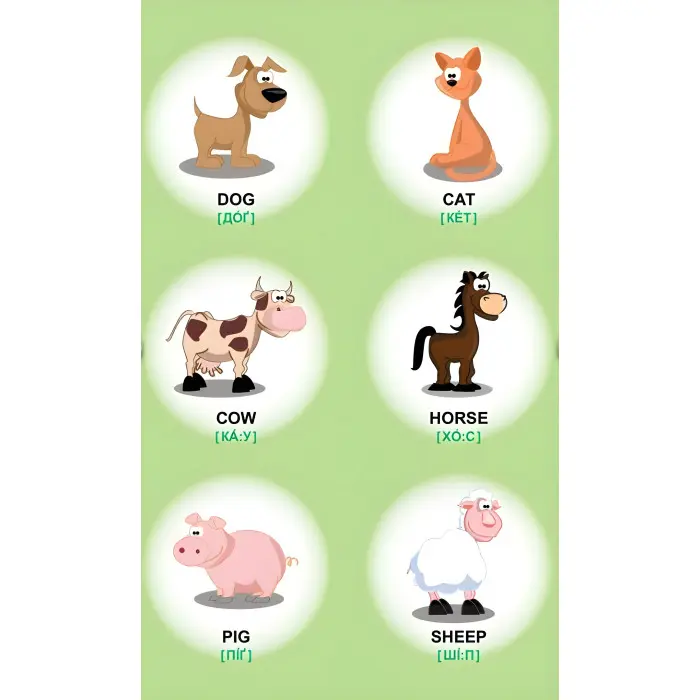 Тварини. Овочі. Фрукти. Мої перші слова англійською