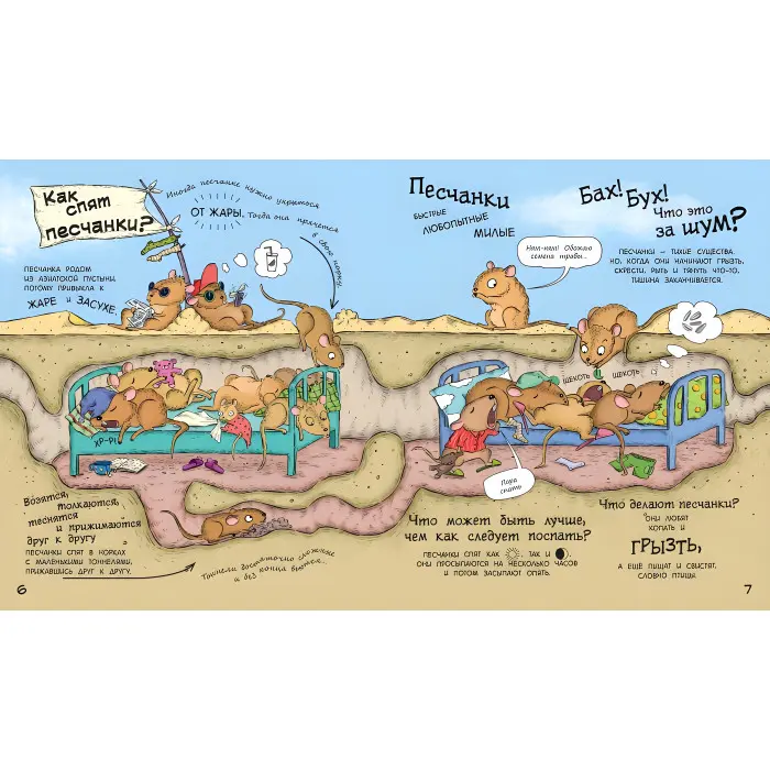 У гостях у тварин «Як тварини сплять» Дитяча пізнавальна книга (рос) (9786170959683)