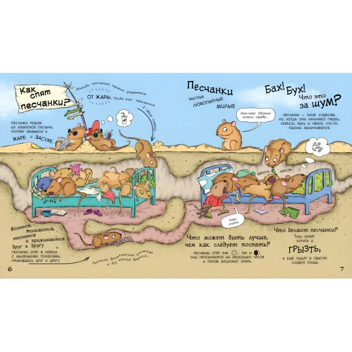 У гостях у тварин «Як тварини сплять» Дитяча пізнавальна книга (рос) (9786170959683)