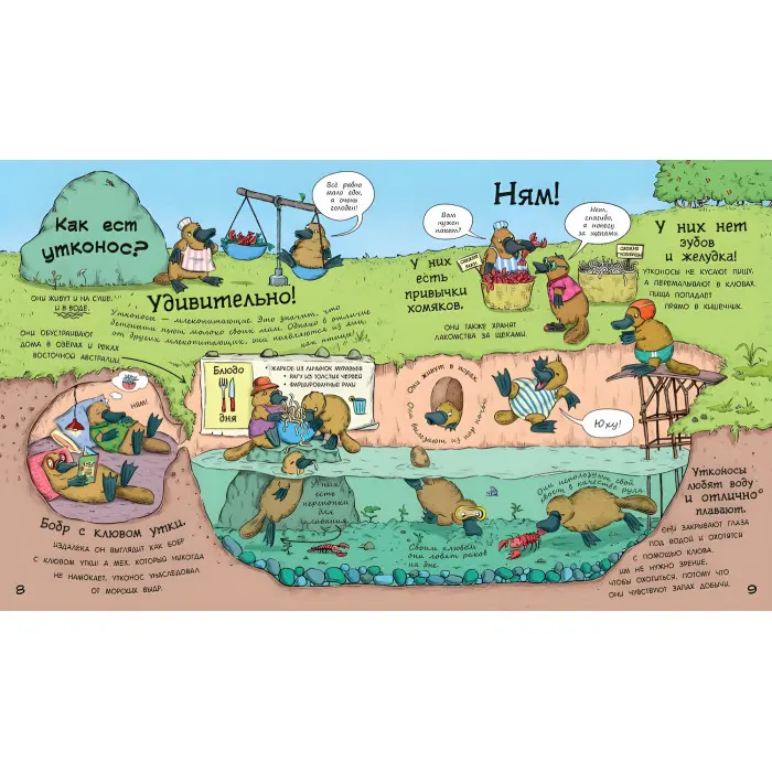 У гостях у тварин «Як тварини їдять» Дитяча пізнавальна книга (рос) (9786170959713)