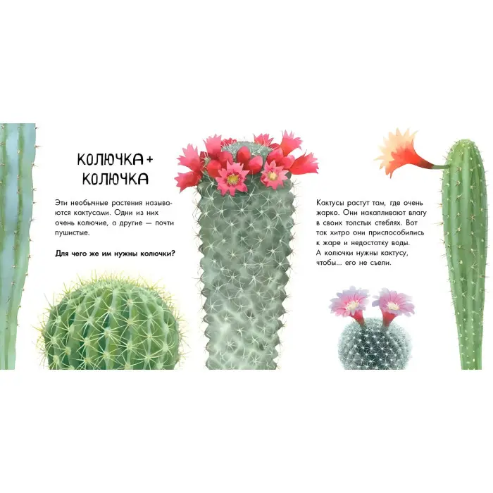 В гостях у природи. Про рослини (9786170947628)