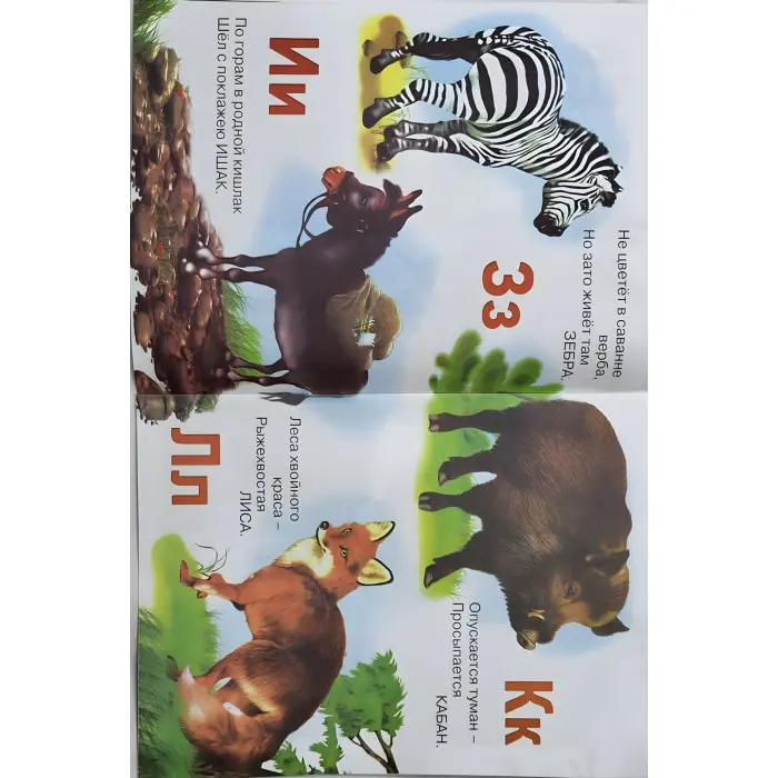 Вчимося самі Жива абетка. Азбука рос (9785783305986)