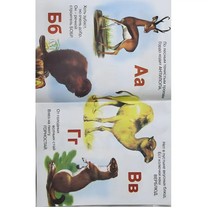 Вчимося самі Жива абетка. Азбука рос (9785783305986)