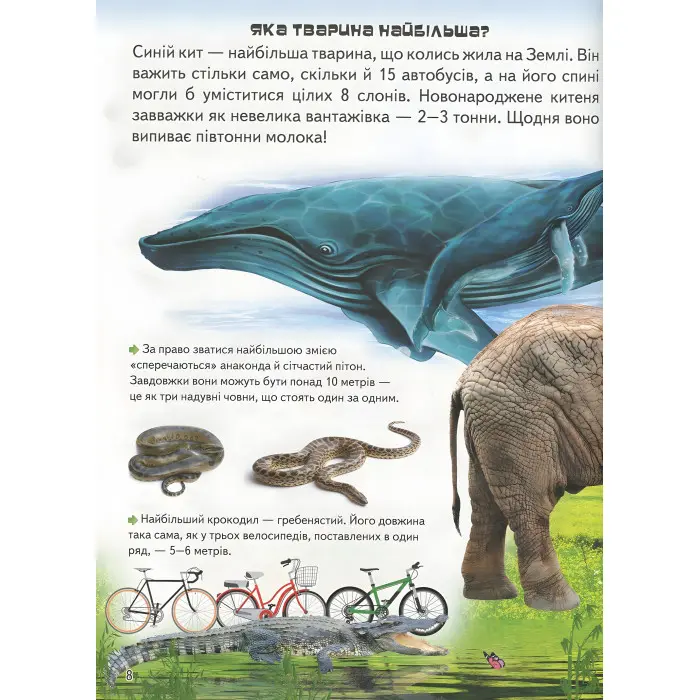 Велика енциклопедія чомусика у питаннях і відповідях