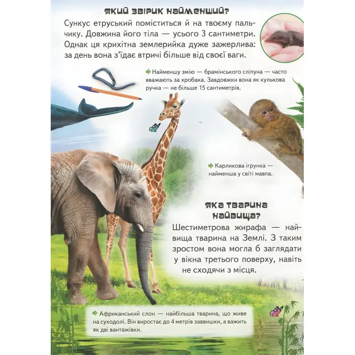 Велика енциклопедія чомусика у питаннях і відповідях