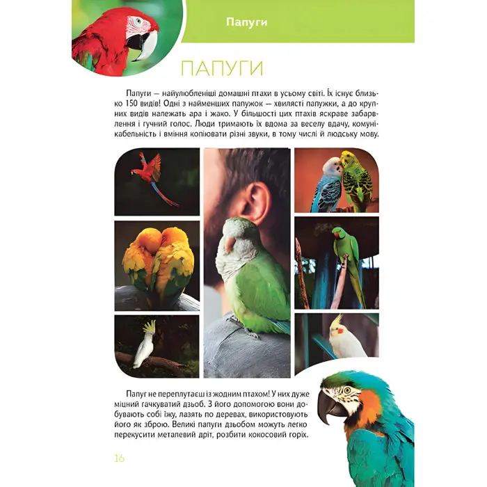 Велика книга про тварин