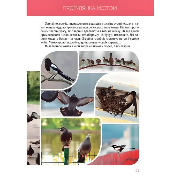 Велика книга про тварин