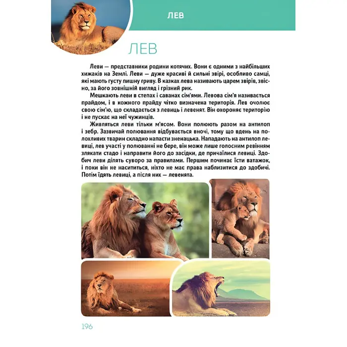 Велика книга про тварин