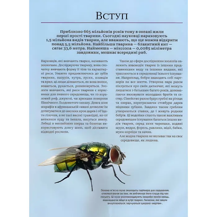 Велика книга тварин Енциклопедія (9786171704794)