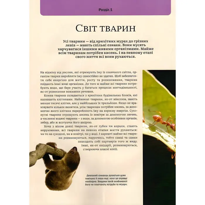 Велика книга тварин Енциклопедія (9786171704794)