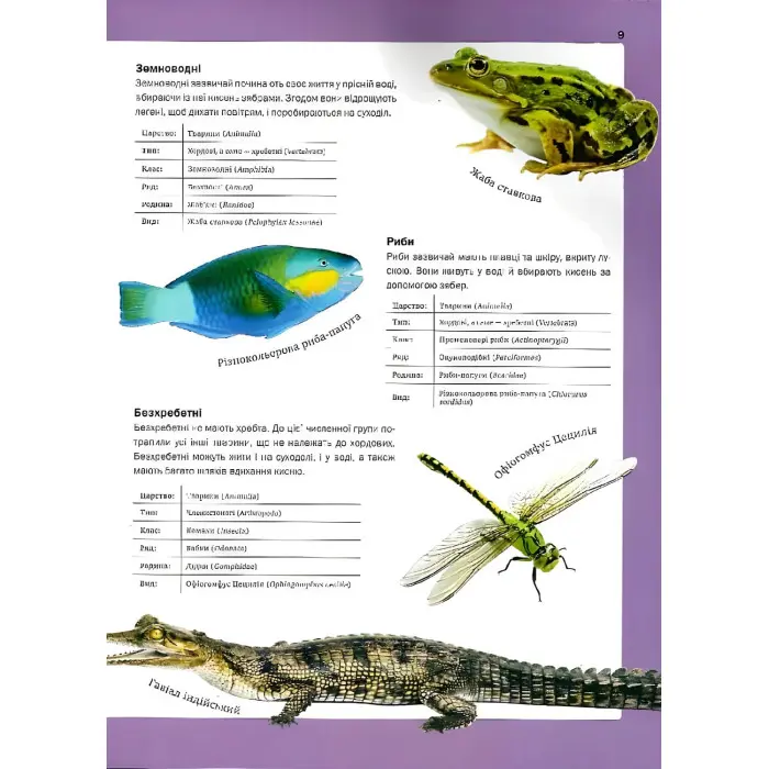 Велика книга тварин Енциклопедія (9786171704794)