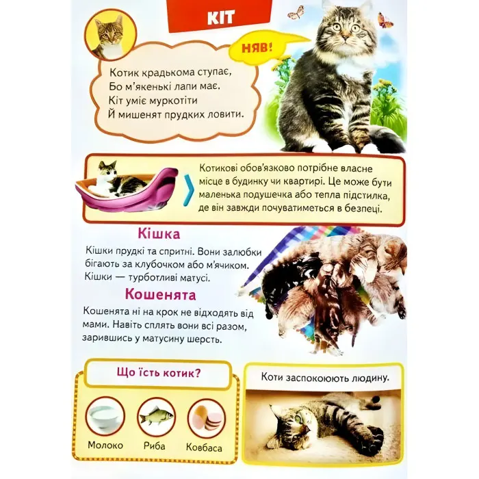 Велика книга знань для малюків подарункова збірка - абетка, лічба, тварини, динозаври, атлас світу,