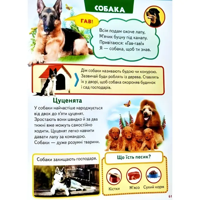 Велика книга знань для малюків подарункова збірка - абетка, лічба, тварини, динозаври, атлас світу,