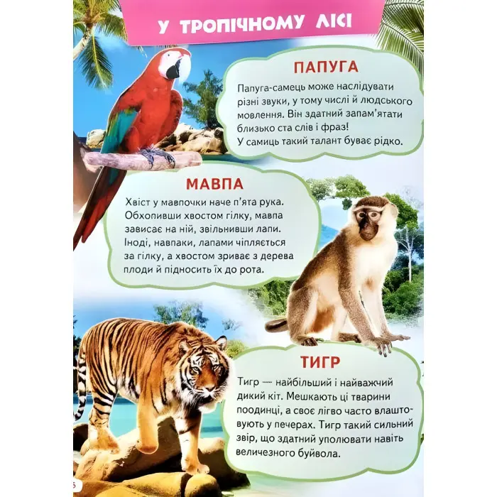 Велика книга знань для малюків подарункова збірка - абетка, лічба, тварини, динозаври, атлас світу,