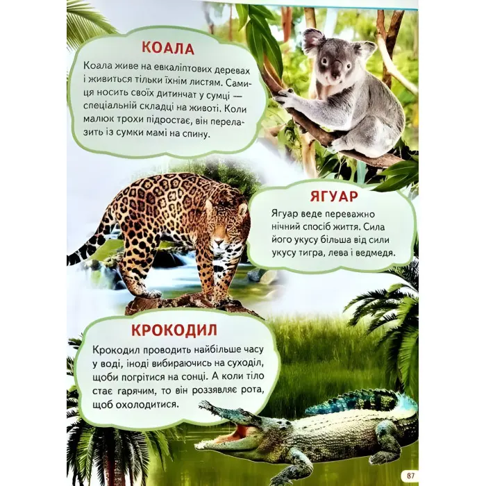 Велика книга знань для малюків подарункова збірка - абетка, лічба, тварини, динозаври, атлас світу,