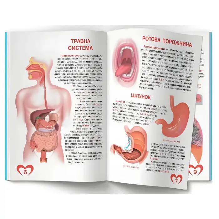 Велика книжка. Анатомія людини (9789669361974)