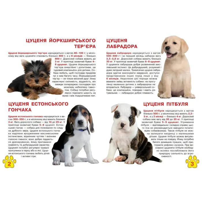 Велика книжка. Цуценята