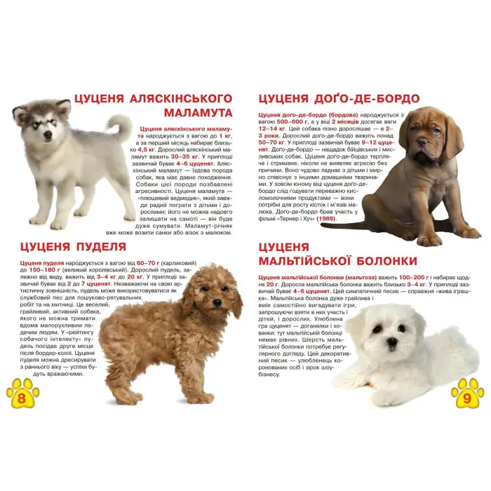 Велика книжка. Цуценята