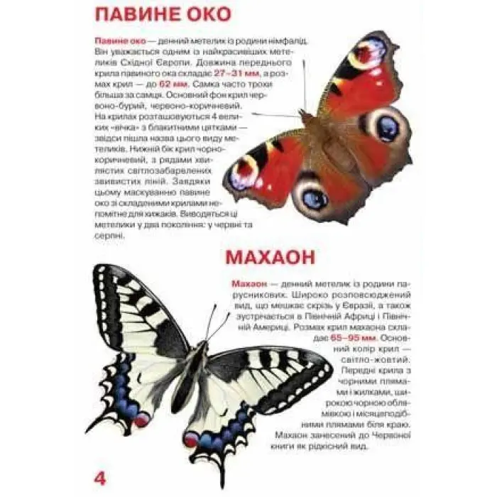 Велика книжка. Метелики.