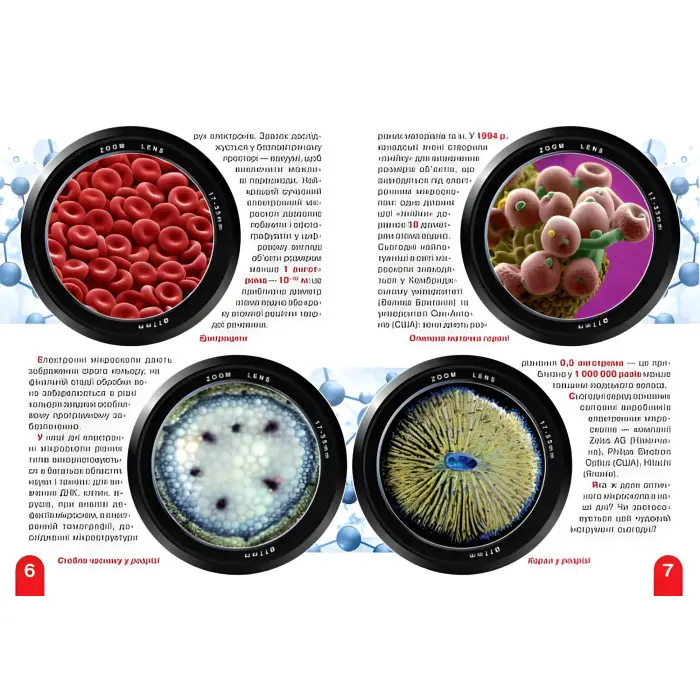 Велика книжка. Мікросвіт