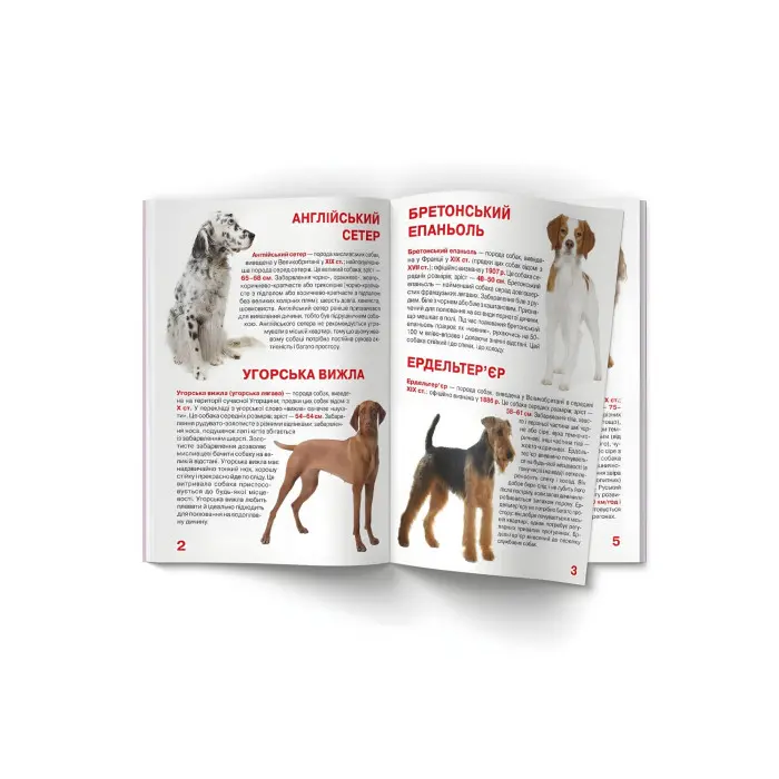 Велика книжка. Мисливські собаки