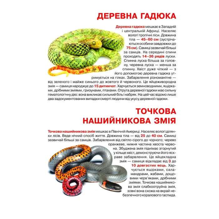 Велика книжка. Отруйні змії