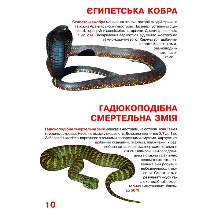 Велика книжка. Отруйні змії
