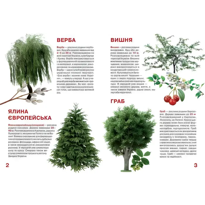 Велика книжка. Рослинний світ України