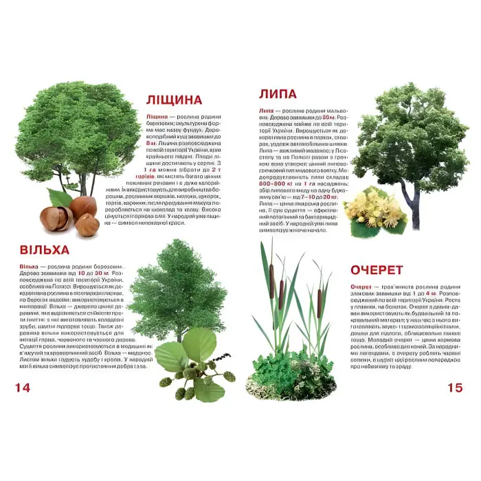 Велика книжка. Рослинний світ України
